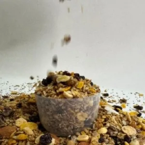 Granola Max 250g
